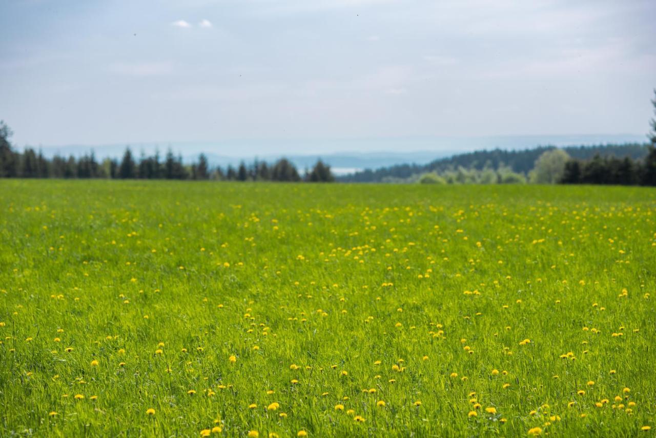 Destne Apartmany Destne v Orlickych horach Buitenkant foto
